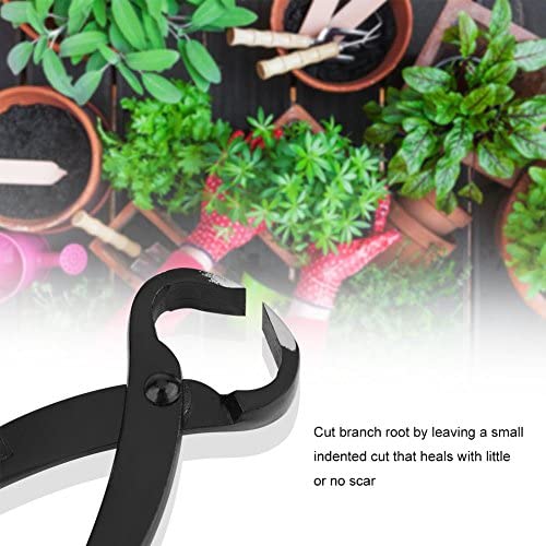 HURRISE Bonsai Branch Cutter, Branch Cutter Hedge Clippers Carbon Steel Material for Garden for Farm