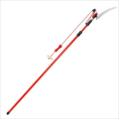 Corona Cipper 211252 TP 4212 DualLink Tree Saw and Pruner, 12-Foot, Feet, Red