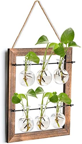 Elsjoy Wall Hanging Glass Planter, Double Layer Plant Terrarium Propagation Station, Mini 6 Bulb Vase with Wooden Stand and Rope for Hydroponics Plants, Home Decor, Indoor Outdoor