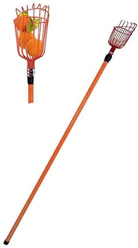 LavoHome Professional Metal Fruit Picker with Long Telescoping 8ft Pole & Fruit Catcher – Reach Fruit up to 15ft Without a Ladder