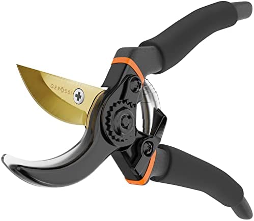 Premium Bypass Pruning Shears for your Garden – Heavy-Duty, Ultra Sharp Pruners Made with Japanese Grade Stainless Steel – Perfectly Cutting Through Anything in Your Yard – Includes Lifetime Warranty