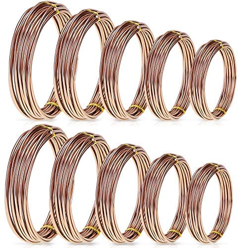 10 Rolls Bonsai Wires Anodized Aluminum Bonsai Training Wire in 5 Sizes – 1.0 mm, 1.5 mm, 2.0 mm, 2.5 mm, 3.0 mm, Total 164 Feet (Brown)
