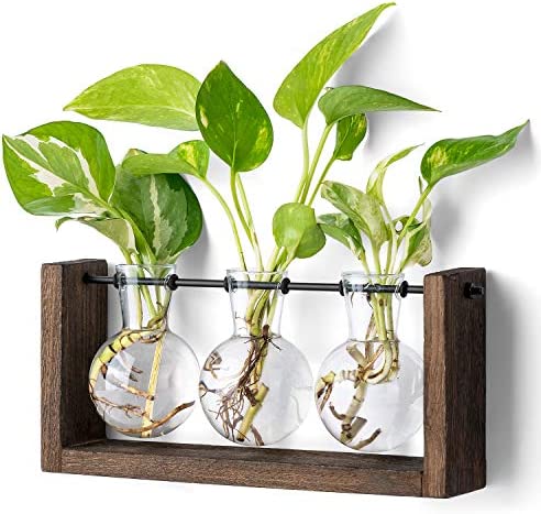 Mkono Plant Terrarium with Wooden Stand, Wall Hanging Glass Planter Tabletop Propagation Bulb Vase Metal Swivel Holder Retro Rack with 3 Bud Bottle for Hydroponics Plants Home Office Decor