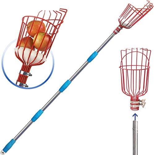 COCONUT Fruit Picker Tool, Fruit Picker with Basket and Pole Easy to Assemble & Use Fruits Catcher Tree Picker for Getting Fruits(5ft)