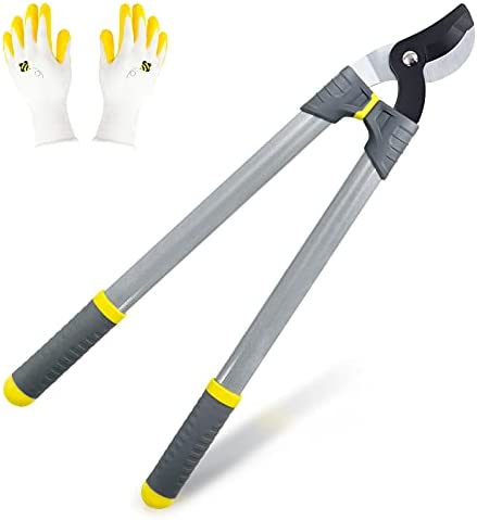 Colwelt Bypass Lopper 24-Inch, Branch Cutter with Carbon Steel Blade, Heavy Duty Orchard Lopper Tree Trimmer Makes Clean Professional Cuts, 1-2/5 Inch Cutting Capacity