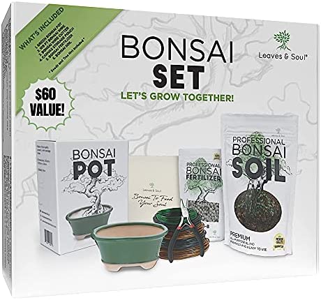Complete Bonsai Set – Small Green Oval Bonsai Pot with Soil, Fertilizer Pellets, 160ft of Bonsai Hobby Wire, Cutter and Storage Bag – DIY Gardening Starter Set – Plant Repotting Supplies