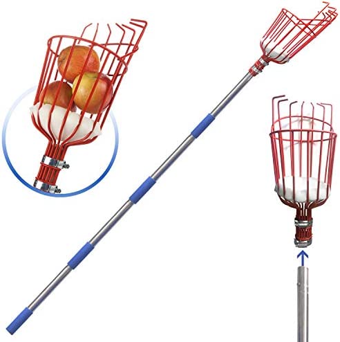 DIIG Fruit Picker, 10 Foot Fruit Picker Tool with Stainless Steel Connecting Pole, Fruit Picking Equipment for Getting Fruits Lemons Apples Guavas Avocados Pears Mangoes Oranges