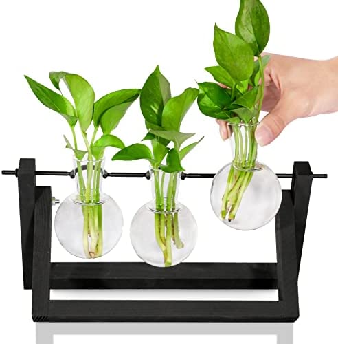 Desktop Propagation Plant Terrarium with Wooden Stand for Indoor Live Hydroponics Plants