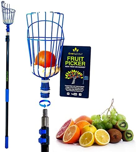 EVERSPROUT 13-Foot Fruit Picker (20+ Foot Reach) | Telescoping Fruit Picker Pole, Easy to Attach Twist-On Apple Basket | Lightweight, High-Grade Aluminum Extension Pole with Fruit Picker Basket