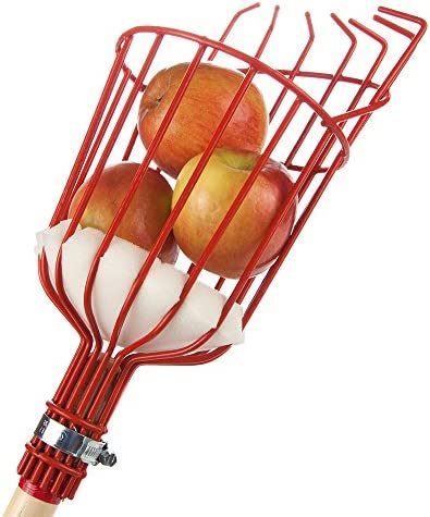 Home-X Fruit Picker Harvester Basket with Cushion to Prevent Bruising (Pole not Included)