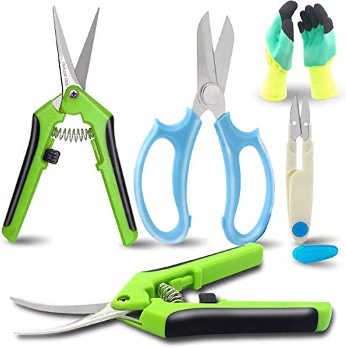 HyleJhJy 5 pack Garden Pruning Shears Florist Scissors Floral Snips Bonsai Pruning Scissors Hand Pruner Set with Gardening Gloves,Stainless Steel Straight Tip and Curved Blades ,Green+Green