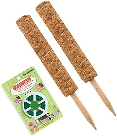 JOYSEUS 30 Inch Moss Pole for Climbing Plants – 2 Pack 15 Inch Coir Totem Pole Plant Support with 65 Feet Garden Twist Tie for Monstera and Potted Plants to Grow Upwards…
