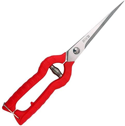 KATUR Garden Rose Pruning Shears Scissors, Professional Hand Pruners Straight Blades Stainless Steel for Flower Arranging, Plant Trimming, Fruit Harvesting (96mm Blade Length)