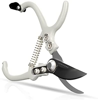 LOOPSEED Bypass Pruning Shears Hand Pruner Garden Trimming Scissors Plant Trimmers Herb Snips Flower Clippers Ergonomic Handle Modern Garden Tools