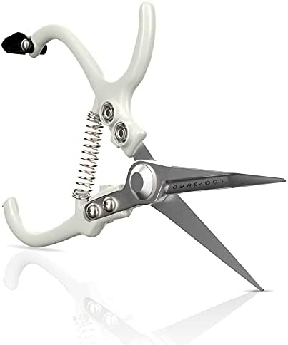 LOOPSEED Plant Pruning Shears Garden Trimming Scissors Precision Hand Pruner Herb Snips Flower Clippers Bonsai Trimmers Straight Sharp Blade Tapered Tip Ergonomic Handle Modern Garden Tools