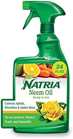 Natria 706250A Neem Oil Spray for Plants Pest Organic Disease Control, 24-Ounce, Ready-to-Use