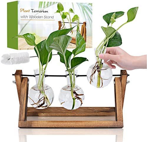 Plant Propagation Stations Terrarium with Wooden Stand, Desktop Air Planter Bulb Glass Vase,for Indoor Hydroponics Water Plants Home Garden Office Decoration Accessories ,Plant Holder Lover Gifts