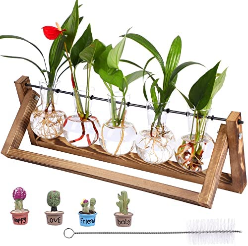 Plant Terrarium with Wooden Stand Retro Propagation Plant Stations Air Glass Planter with Metal Swivel Holder Mini Desktop Decor and Glass Brush for Indoor Hydroponics Plants Decor (5 Bulb Vase)
