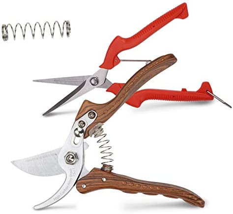 Pruning Shears Garden Clippers Plant Trimming Scissors Branch Bypass Bonsai Hand Pruners Rose Flower Hedge Tree Plant Cutter Small Pofessional Snips Stainless Steel Gardening Tools