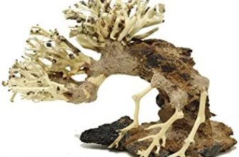 Small Bonsai Driftwood Aquarium Tree ASX Random Pick (4in H x 5in L) Natural, Handcrafted Fish Tank Decoration | Easy to Install