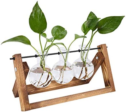 TQVAI Air Planter Terrarium Glass Vase(3 Bulb Vase) with Retro Wooden Stand and Metal Swivel Holder Cute Air Plant Globe – Ideal for Home Office Decoration, Swinging Style