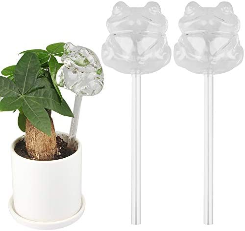 Tomorotec 2 Pack Self Watering Globes, Frog Plant Waterer Durable Clear Glass Aqua Bulbs for Both Indoor and Outdoor