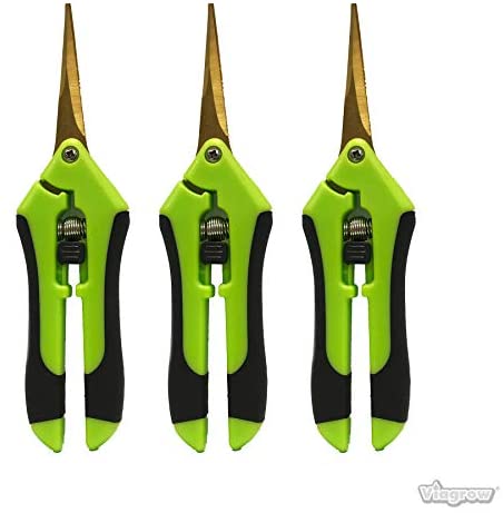 Viagrow V388C-3 Curved Non-Stick Soft Grip Micro-Tip Pruning Snip with Strait Shears, 3-Pack, Green
