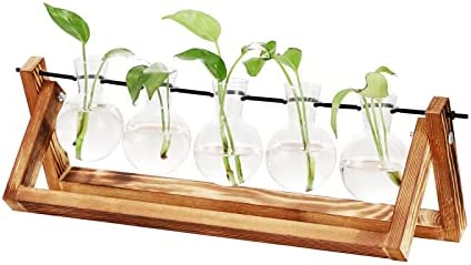 YCOCO Plant Terrarium with Wooden Stand,Desktop Propagation Stations Air Planter Bulb Glass Vase,for Indoor Hydroponics Water Plants Home Garden Office Desktop Decoration,5indivual Bulb Vase