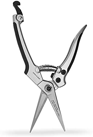 Zugro Garden Scissors, Sharp Pruning Shears Snips for Precise and Easy Cutting of Flowers, Trimming Branches and Vines and harvesting Herbs, Vegetables and Fruit.