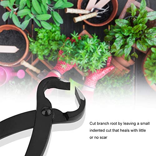【𝐂𝐡𝐫𝐢𝐬𝐭𝐦𝐚𝐬 𝐆𝐢𝐟𝐭】 Ergonomic Handles Bonsai Branch Shears Fit Cutting Small Branches and Stems 205mm Bonsai Root Cutter, Bonsai Branch Cutter, Bonsai Tools for Flower Shop